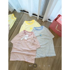 A637-Set 3 áo thun cổ tròn kẻ ngang màu xanh hồng vàng