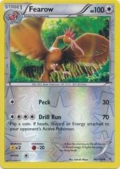 Fearow - 66/108 - Uncommon Reverse Holo