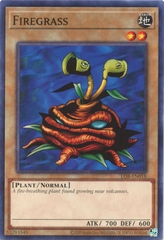 Firegrass - LOB-EN018 - Common Unlimited (25th Reprint)
