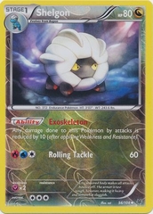 Shelgon - 56/108 - Uncommon Reverse Holo