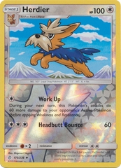 Herdier - 175/236 - Uncommon Reverse Holo