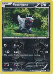 Poochyena - 53/119 - Common Reverse Holo