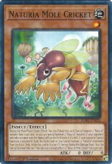 Naturia Mole Cricket - DABL-EN020 - Common 1st Edition