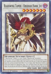 Blackwing Tamer - Obsidian Hawk Joe - LDS2-EN042 - Common 1st Edition
