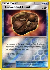 Unidentified Fossil - 210/236 - Uncommon Reverse Holo