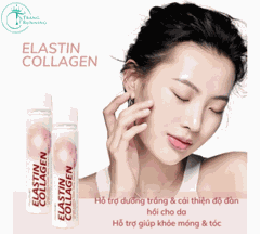 Nước Uống Elastin Collagen MasilRaon Hộp 30 Chai X 25ml Hỗ Trợ Dưỡng Da Móng Tóc