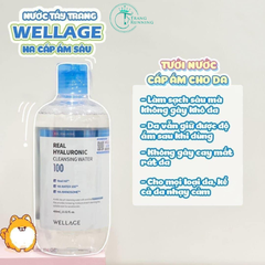 Nước Tẩy Trang Wellage Real Hyaluronic Cleansing Water 100 (Nhập Khẩu)