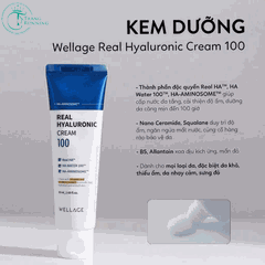 Combo Ha Cấp Ẩm Phục Hồi Wellage