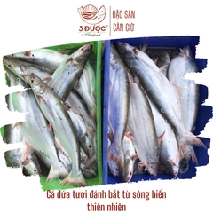 Khô Cá Dứa Thiên Nhiên 1 Nắng Nguyên Con Gói 1kg | Đặc sản Cần Giờ, Đồ Ăn Ngon, Thực Phẩm Dinh Dưỡng