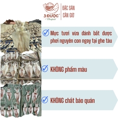 Mực khô ngon Loại to (mực phơi ghe biển) | Đặc sản Cần Giờ, Dày thân  - Ngon ngọt