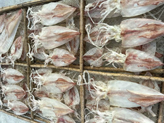 Mực ống 2 nắng (DẺO) loại 6 con Gói 1kg | Đặc sản Cần Giờ, Đồ Ăn Ngon, Thực Phẩm Dinh Dưỡng