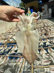 Mực ống 2 nắng (DẺO) loại 6 con Gói 1kg | Đặc sản Cần Giờ, Đồ Ăn Ngon, Thực Phẩm Dinh Dưỡng