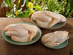 Gà trống ta (1.4 - 1.7kg/c)
