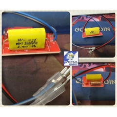 Mạch phân tần loa treble Chống cháy Tụ phân tần loa 40w Pure tweeter crossover WEAH T-5
