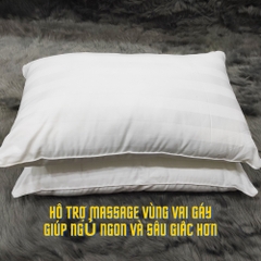 Ruột Gối Nằm Lông Vũ Microfiber Cao Cấp VUA GỐI Deluxe Pillow Gối Lông Vũ Nhân Tạo Êm Ái Kháng Khuẩn Chuẩn Khách Sạn