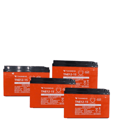 Ắc quy xe máy điện Giant 133S