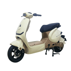 Xe điện Ally Elyas 9