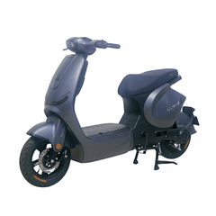 Xe điện Ally Elyas 9