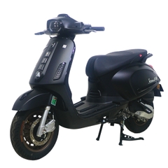 Xe ga 50cc Ally Vegas Pro