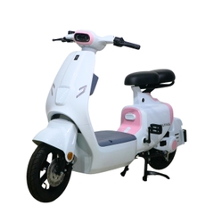 Xe điện Ally Elyas