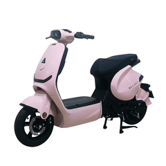 Xe điện Ally Elyas 9