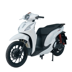 Xe máy điện Ally SV Eco