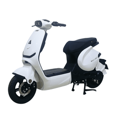 Xe điện Ally Elyas 9