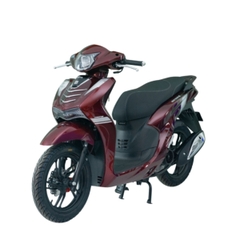 Xe ga 50cc Ally Vista