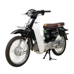 Cub 50 Ally New SE đèn LED 2 tầng