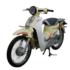 Xe Cub Shaphia sport 50cc phiên bản mới nhất 2025