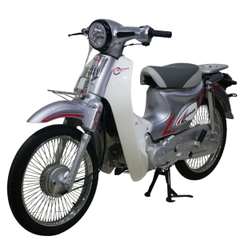 Xe Cub Shaphia sport 50cc phiên bản mới nhất 2025