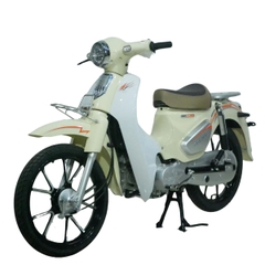 Cub 89 Saki Motor 50cc  vành đúc 2025