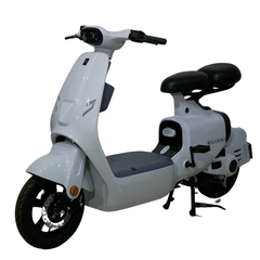 Xe điện Ally Elyas