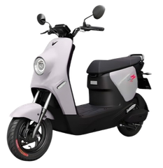 Xe Điện Vinfast ZGoo