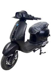 Xe máy điện Venuxs Eco