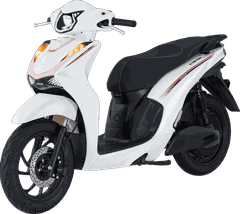 Xe máy điện Osakar Viera