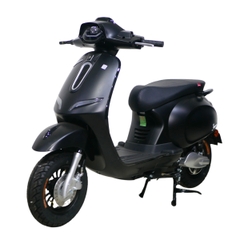 Xe máy điện Ally Vegas EVS1