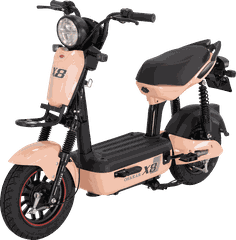 Xe đạp điện Osakar X8