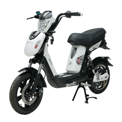 Xe đạp điện DK Samurai S