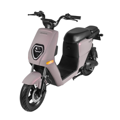 XE ĐIỆN OSAKAR HEIDI