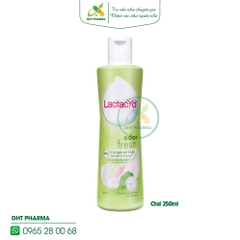 Dung dịch vệ sinh Lactacyd Odor Fresh Trầu Không hỗ trợ ngăn mùi 24h