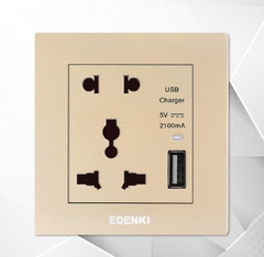 Bộ ổ cắm đôi kèm USB màu vàng – EE-005U-G