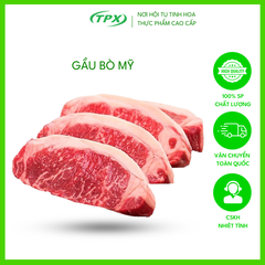 GẦU BÒ MỸ