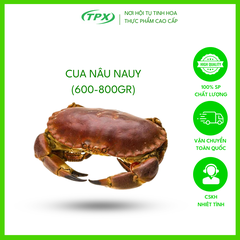CUA NÂU NAUY (600-800 GR)