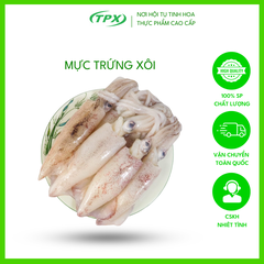 MỰC TRỨNG XÔI CÂU SIZE 14/18 CON