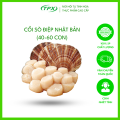 CỒI SÒ ĐIỆP NHẬT BẢN (40-60 KG)
