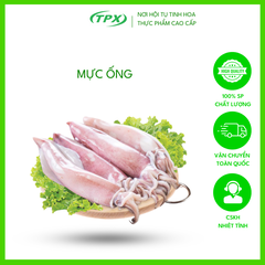 MỰC ỐNG 1-2 CON