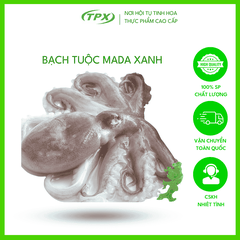 BẠCH TUỘC MADA XANH SIZE 12-18 CON