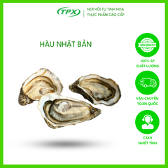 HÀU NHẬT NGUYÊN VỎ SIZE 6-8