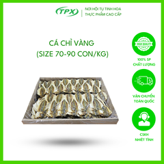 CÁ CHỈ VÀNG SIZE LỚN